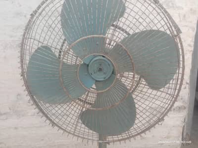 Younis Fan Copper winding