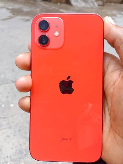 Apple iPhone 12  only cash