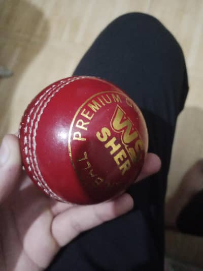 Premium Cricket Leather Ball – Red Match Ball