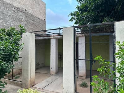parrot iron cage for sale