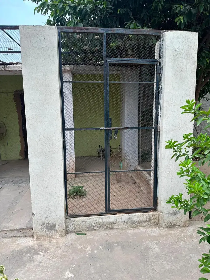 parrot iron cage for sale — photo 2