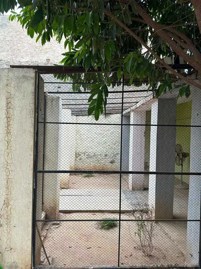 parrot iron cage for sale — photo 3