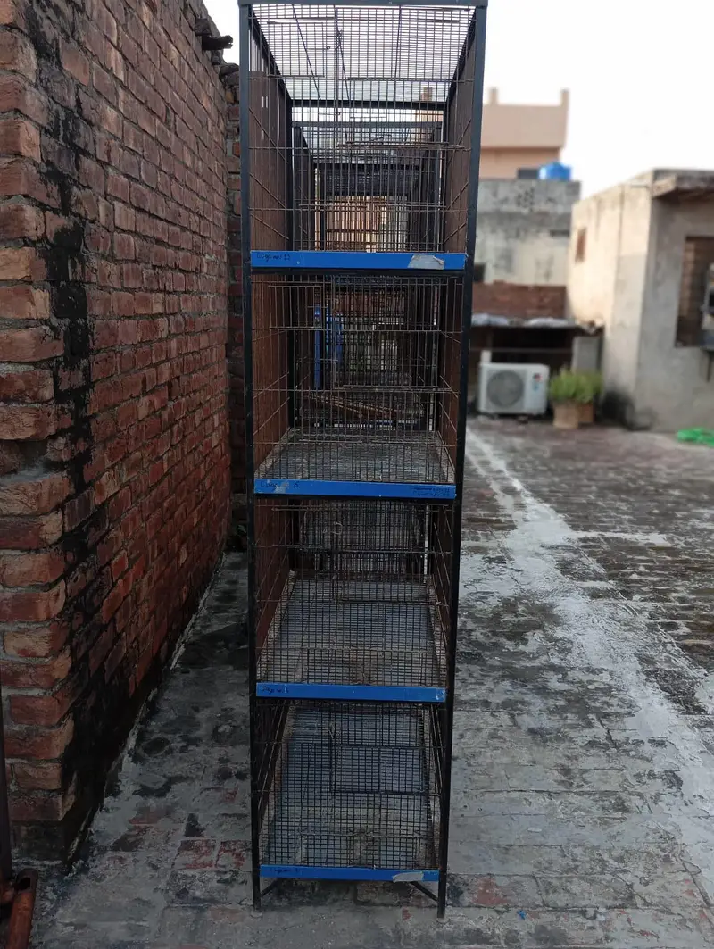 iron cages — photo 2