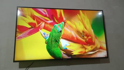 Samsung smart tv