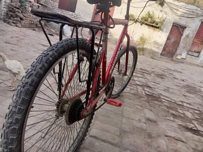 sell my thunder x cycle 03119421440