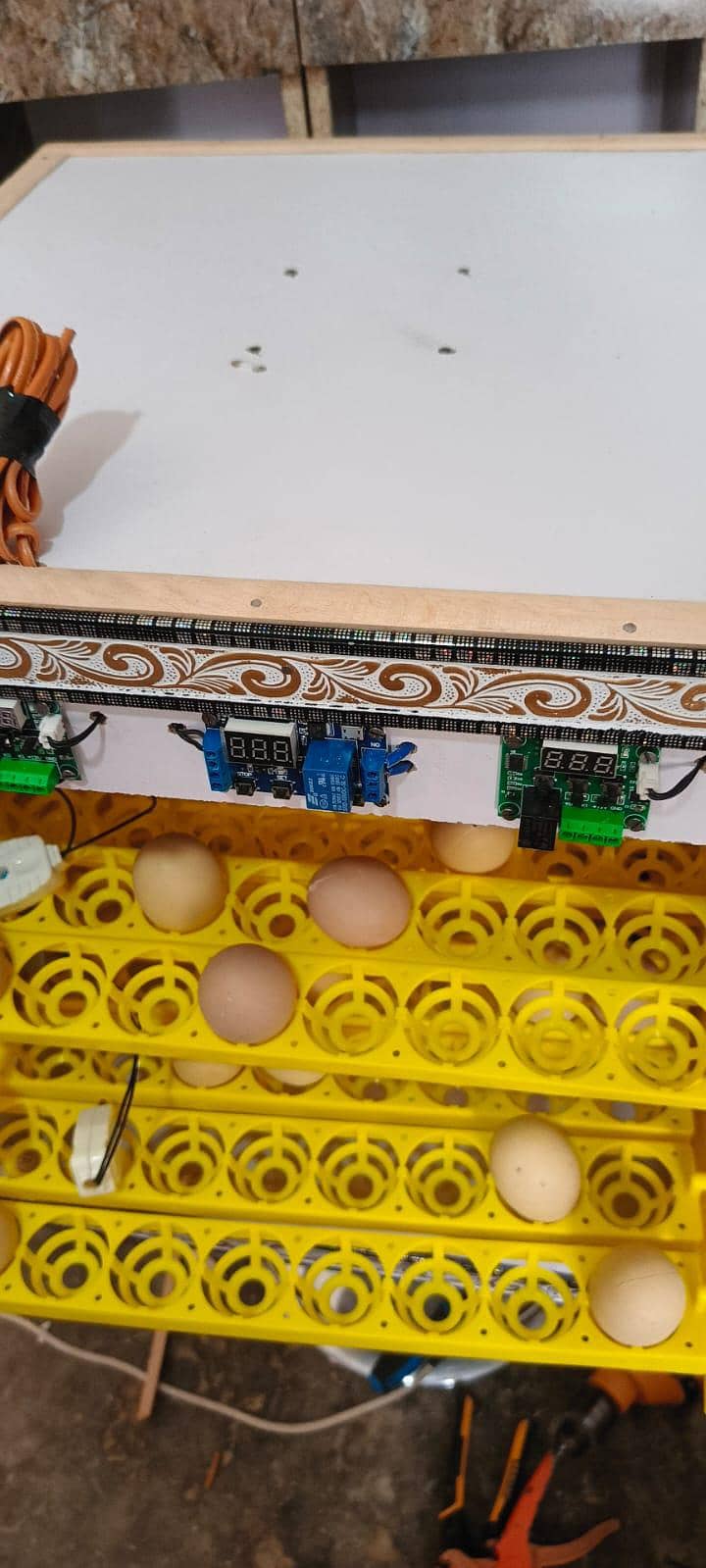incubator 0