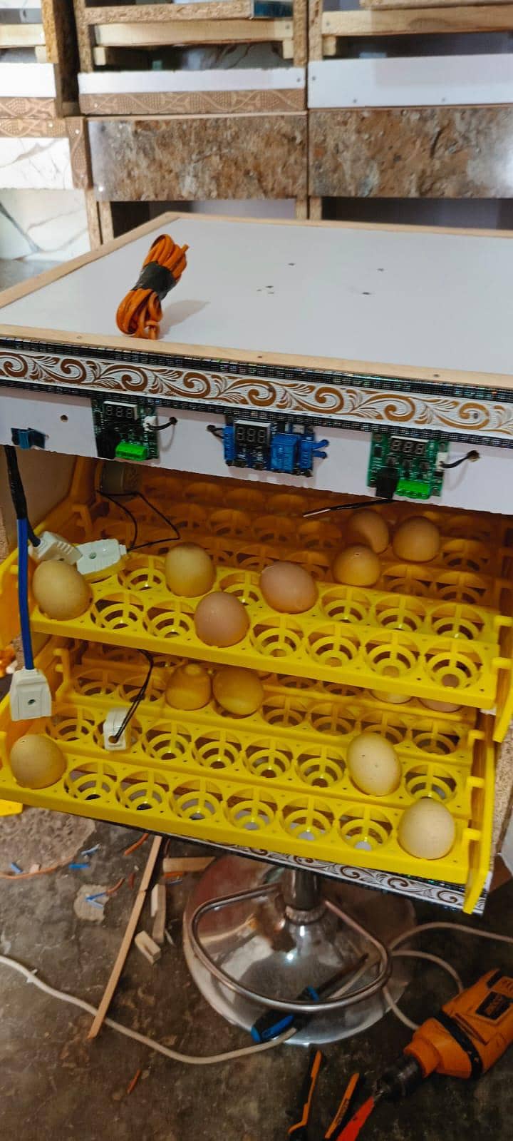 incubator 1