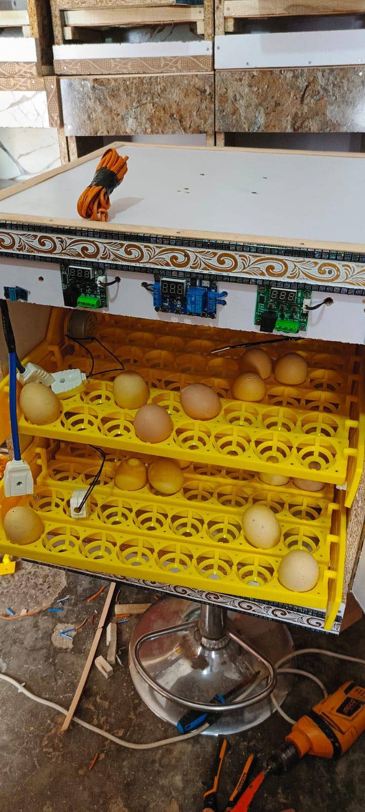 incubator 2