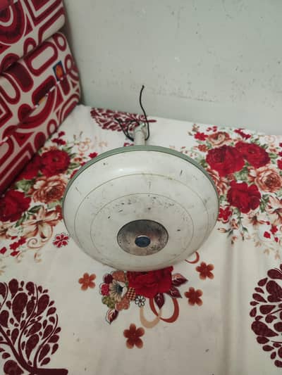 Ceiling Fan in perfect working condition - 56 inch full size