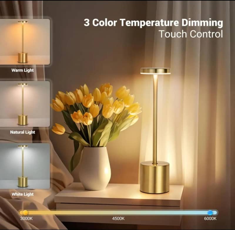 Rechargeable Table Touch Lamp 0