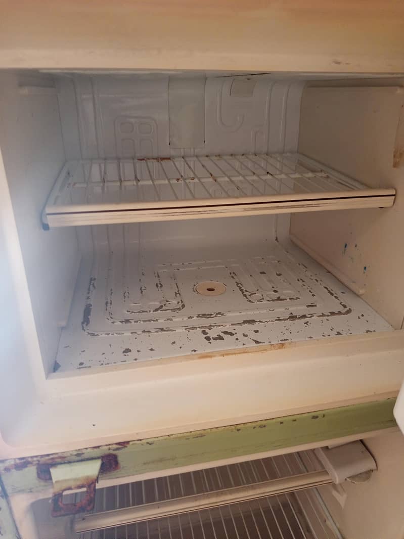 fridge 5
