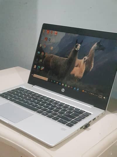 HP ProBook 445 g7