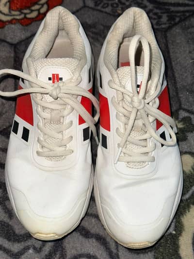 GRAYNICOLS ORIGINAL SPIKES