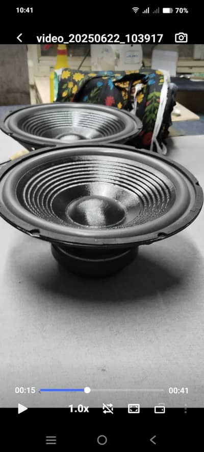 12” coil no 54 japani speaker pair