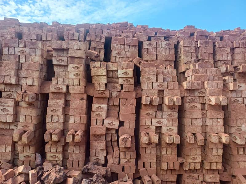 Bricks 1