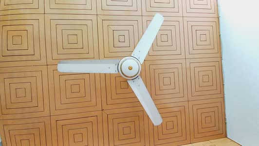 Pak Fan 56 inch Cilling Fan