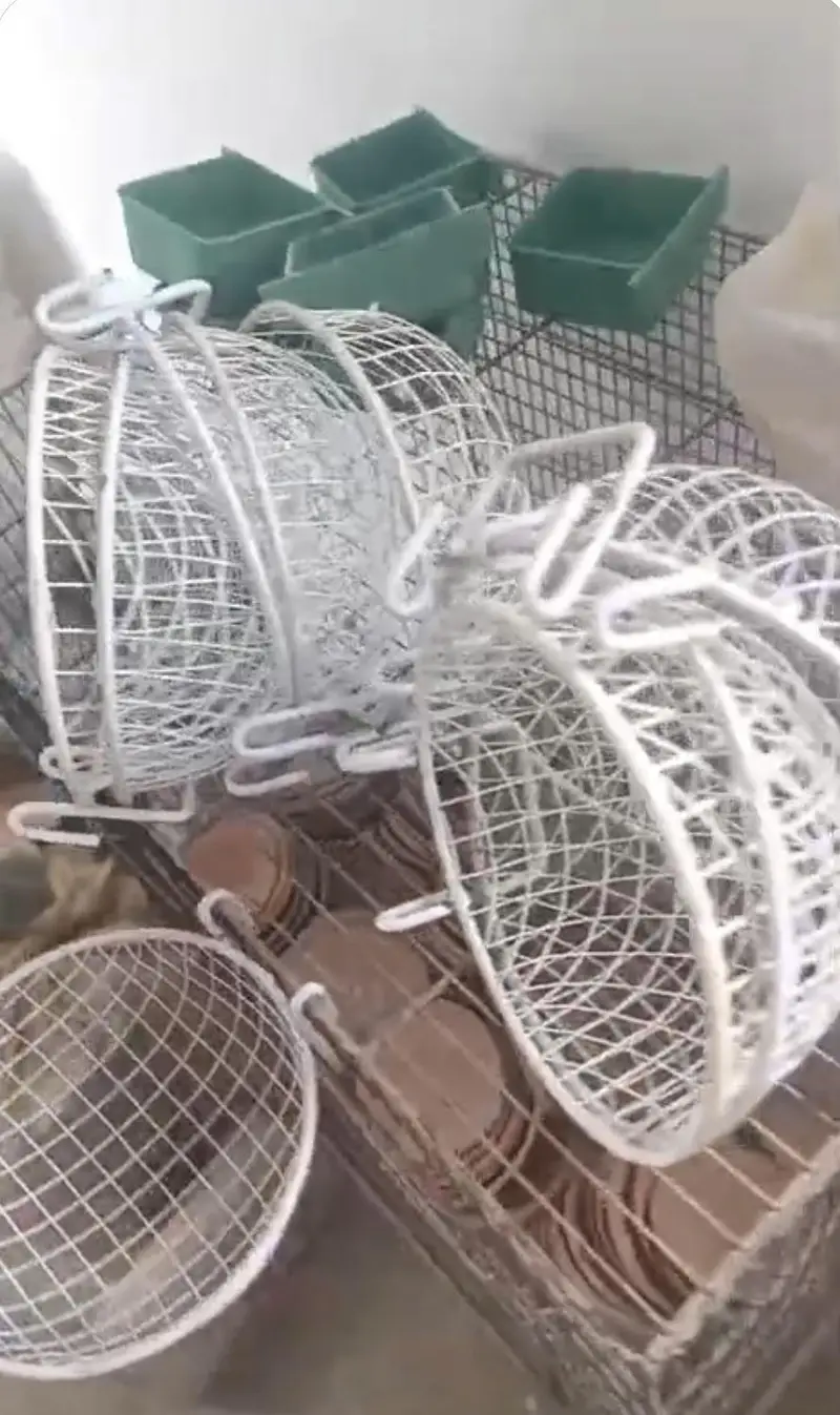 Channi for breeding birds — photo 2