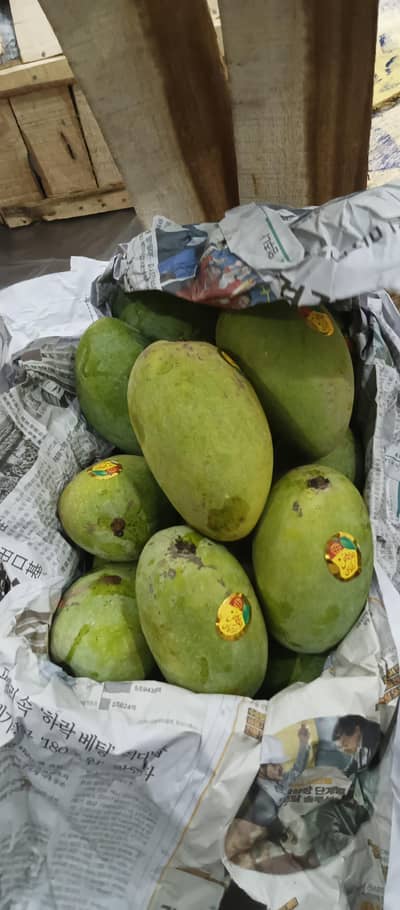 Mossmi chaunsa Mango