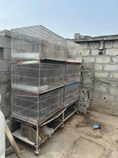 Rabbit cage for sale Rawalpindi bharakahu