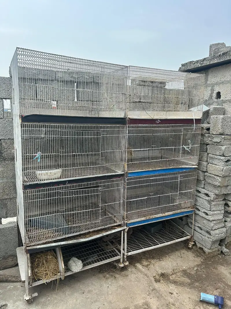Rabbit cage for sale Rawalpindi bharakahu — photo 2