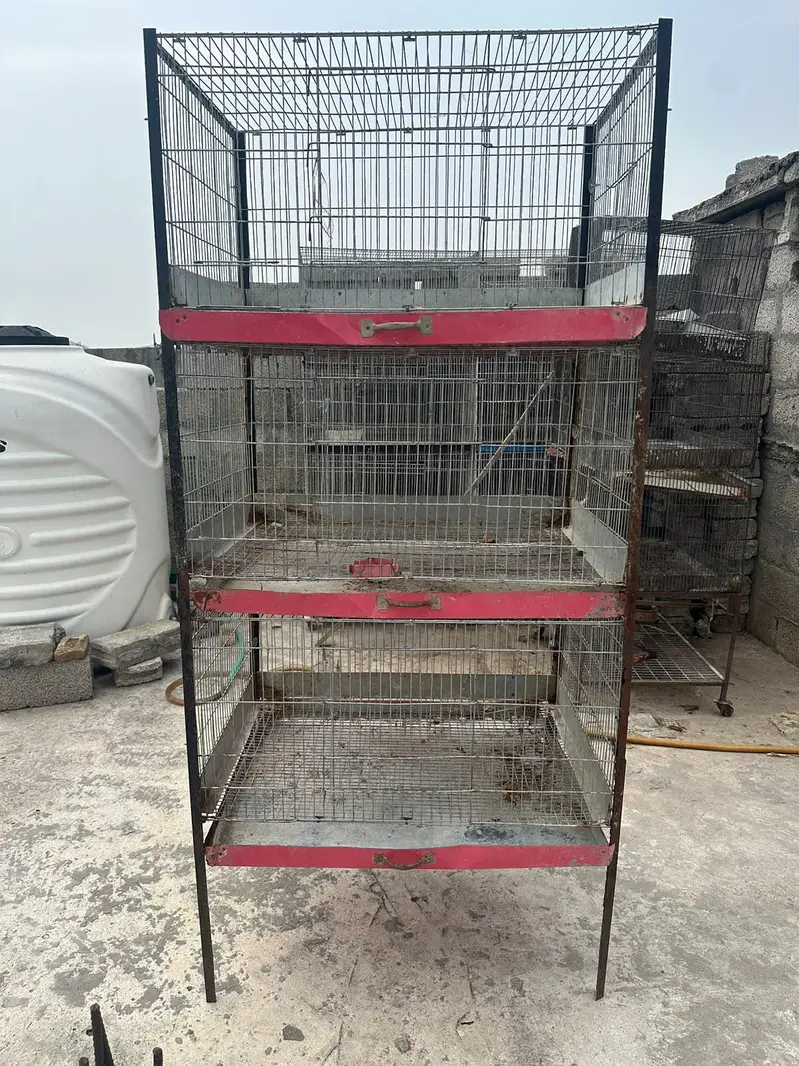Rabbit cage for sale Rawalpindi bharakahu — photo 3