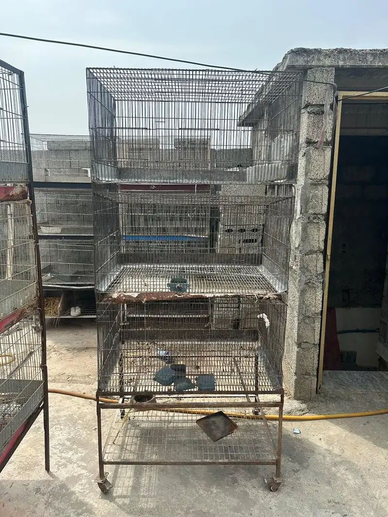 Rabbit cage for sale Rawalpindi bharakahu — photo 4