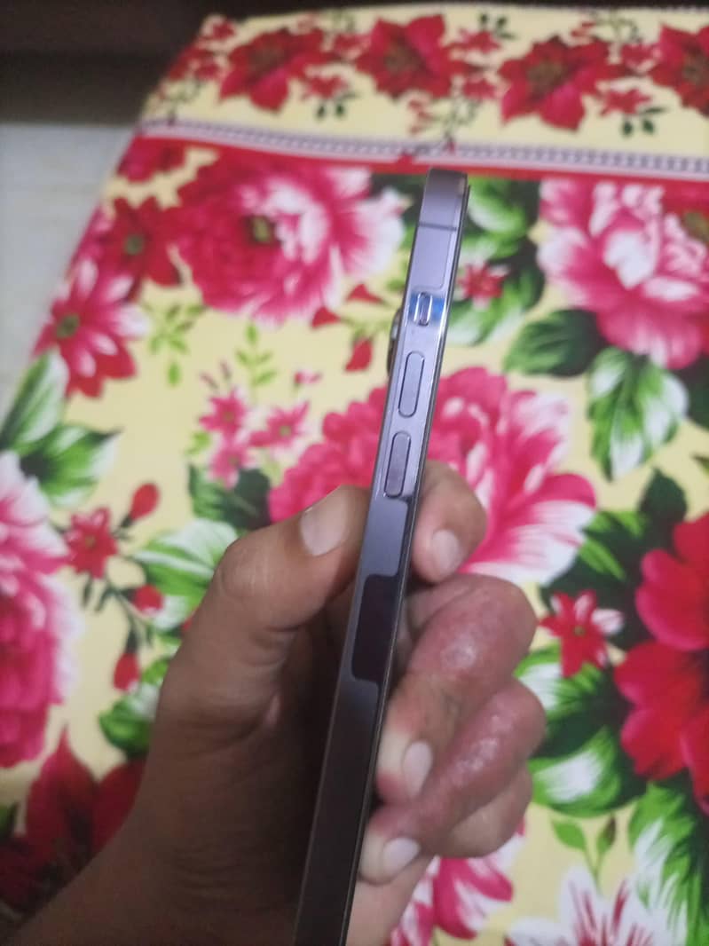 Apple iPhone 14 Pro Max 1