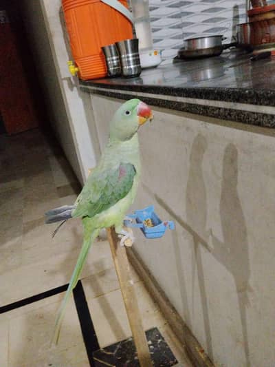 mittho
