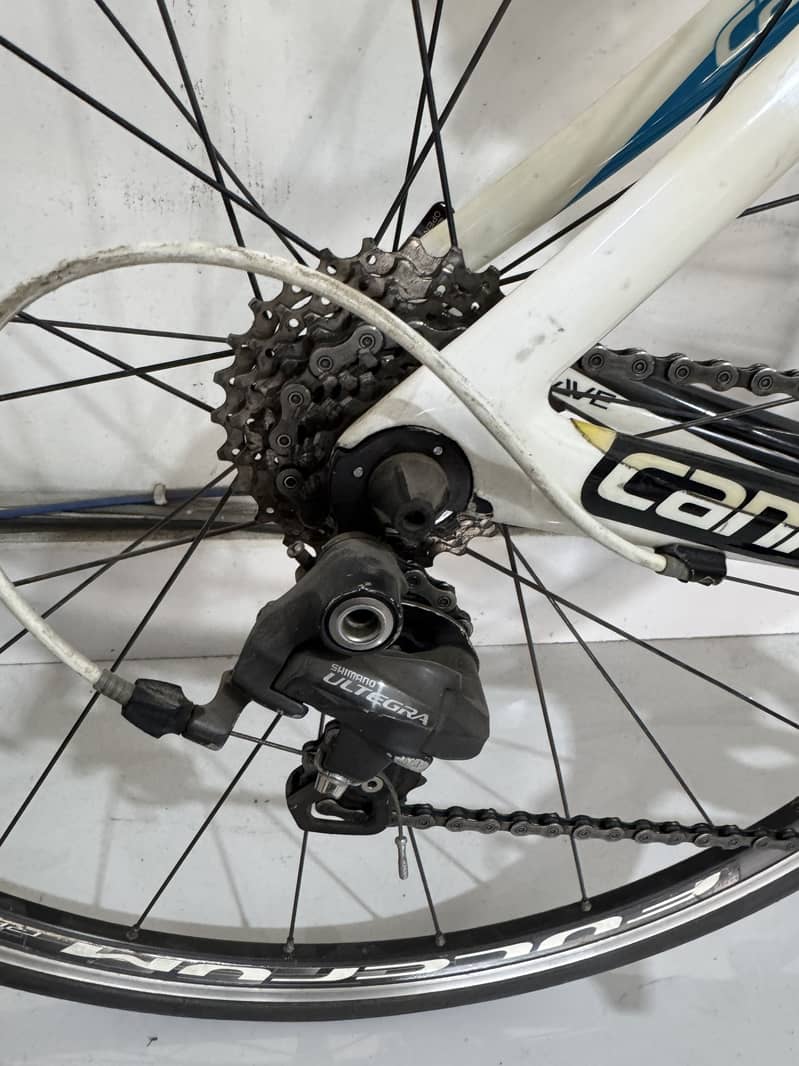 Cycle 6