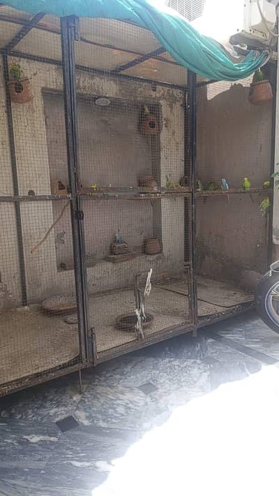 birds cage for sale- iron