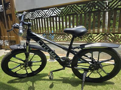 10-Speed Sports Bicycle