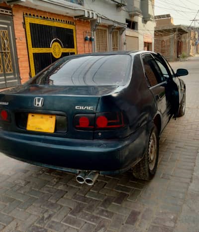 Honda Civic dolphin