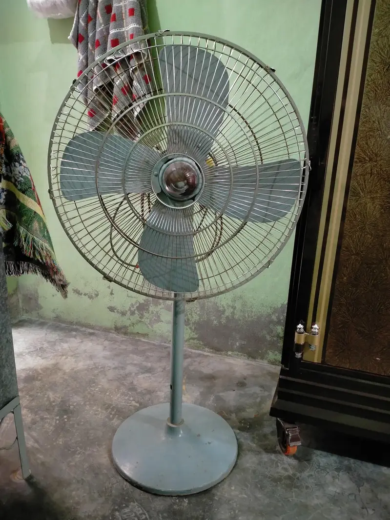2 fan — photo 7
