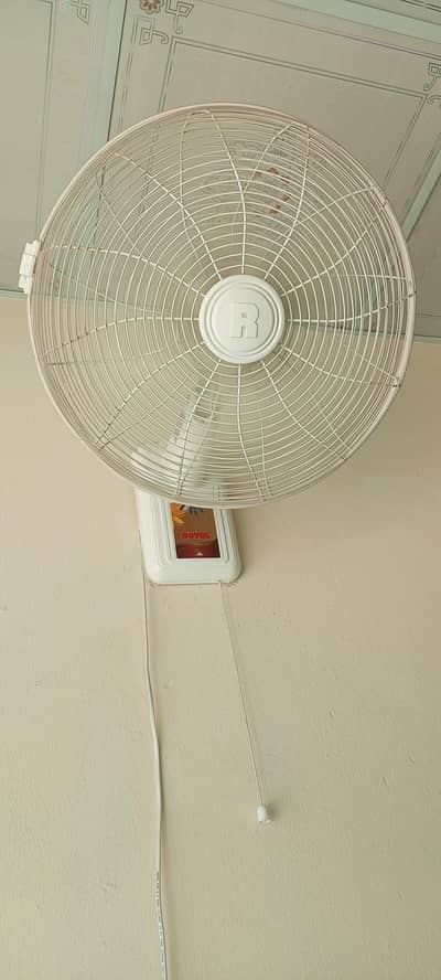 Royal bracket fan