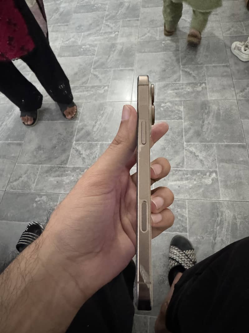 Apple iPhone 16 Pro Max 1