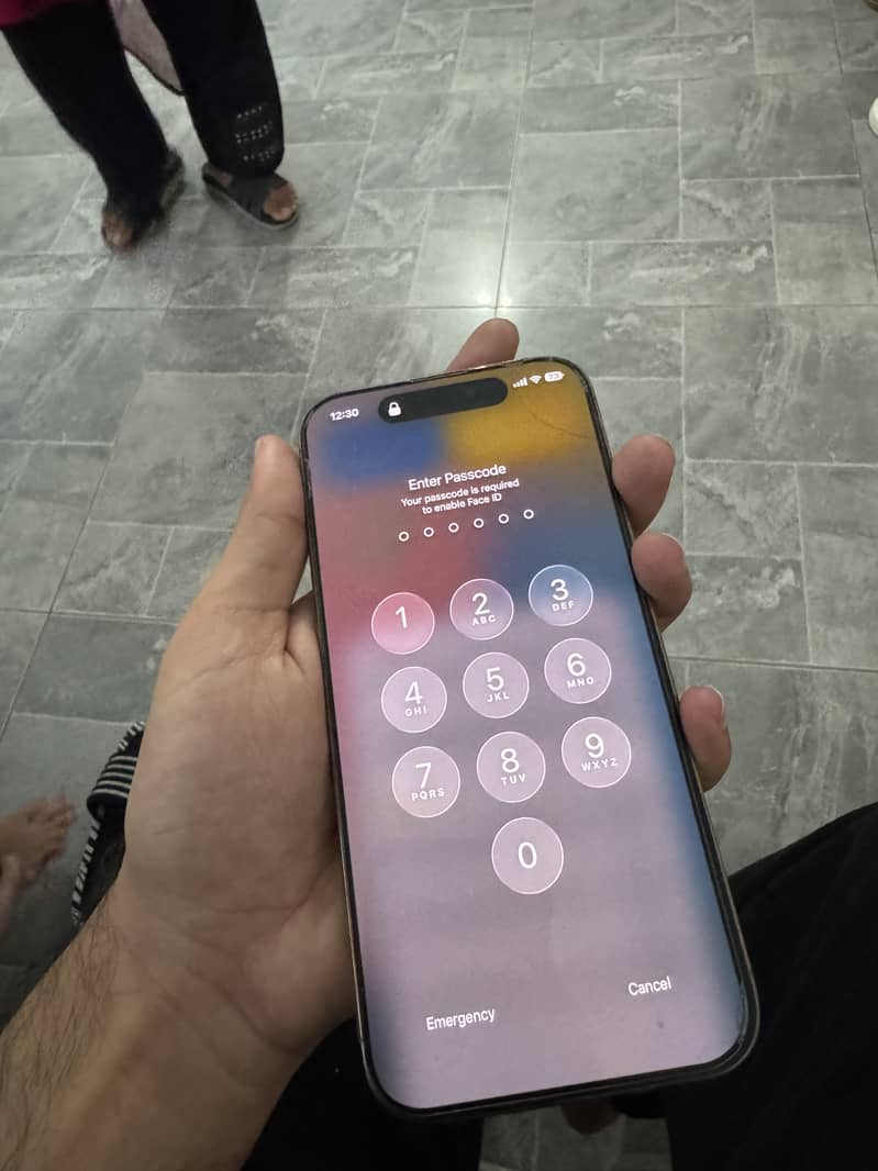 Apple iPhone 16 Pro Max 2