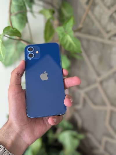 Apple iPhone 12