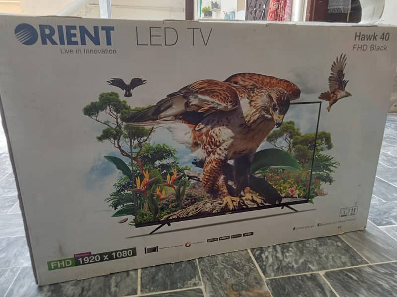 Orient LED 7