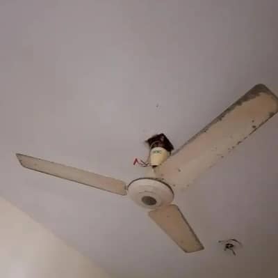 PAK FAN FOR SALE