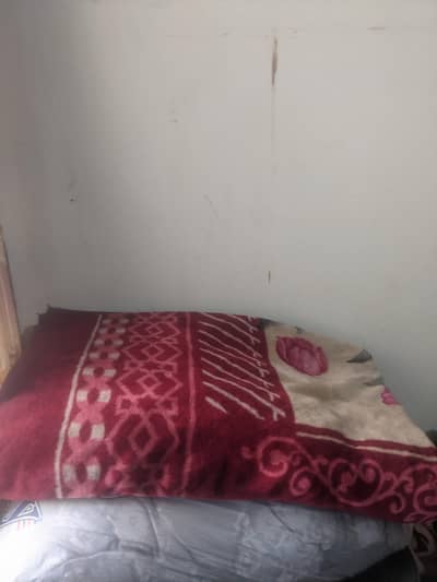 Blankets Red