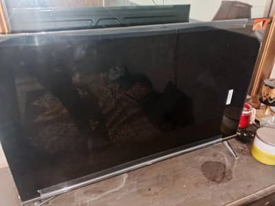 tcl led new brand