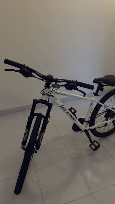 White  TsLa bicycle
