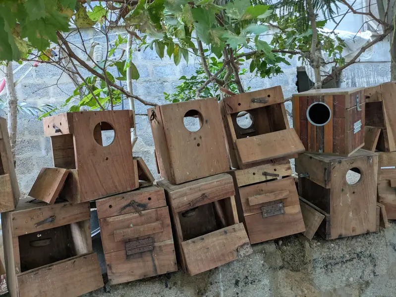 Birds Breeding Boxes, Roundneck best quality — photo 2