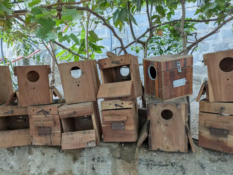 Birds Breeding Boxes, Roundneck best quality — photo 3