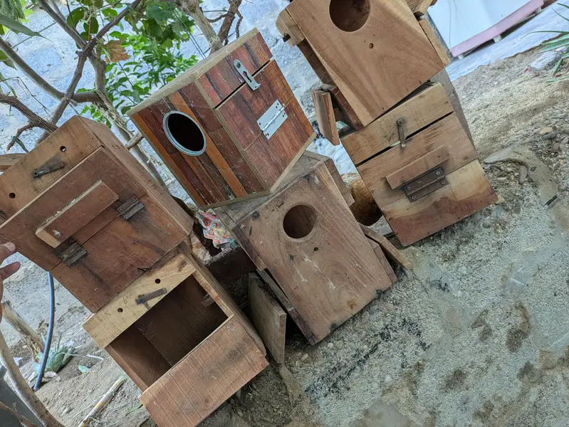 Birds Breeding Boxes, Roundneck best quality — photo 5