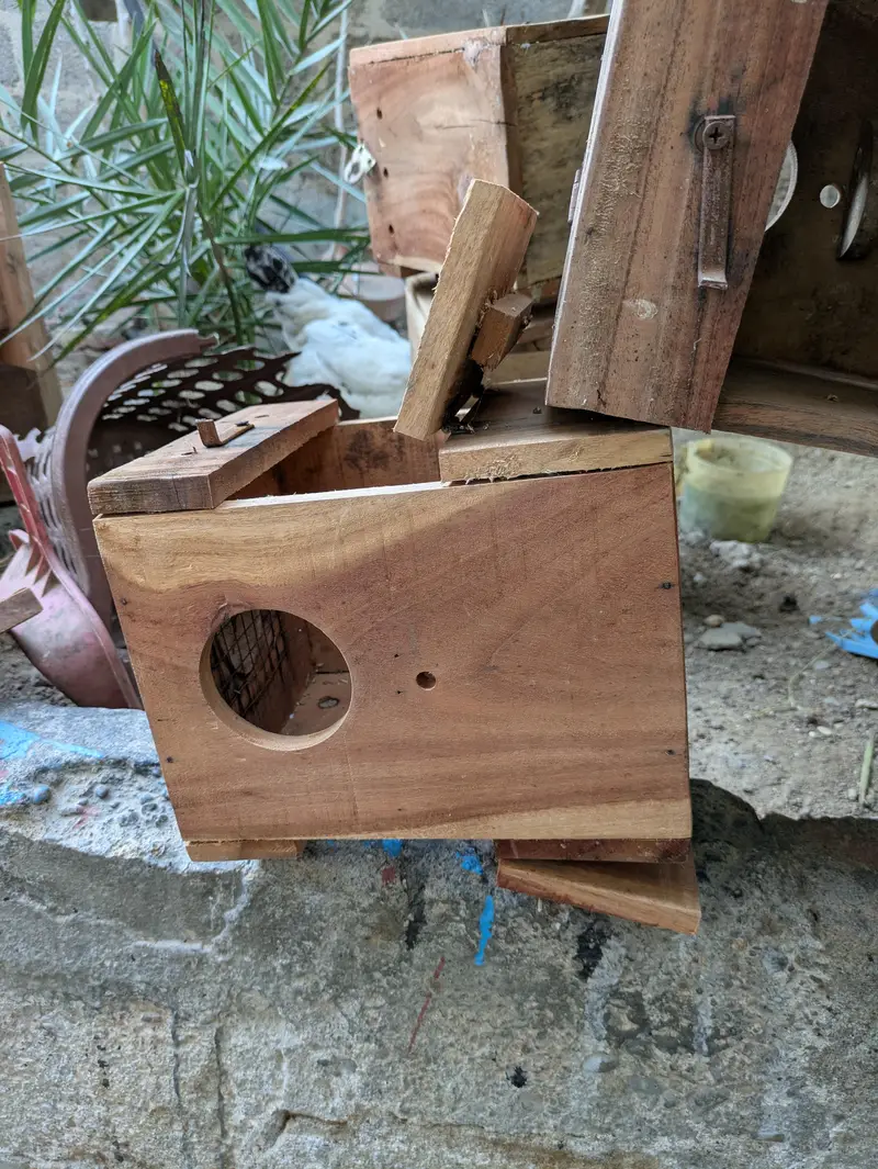 Birds Breeding Boxes, Roundneck best quality — photo 7