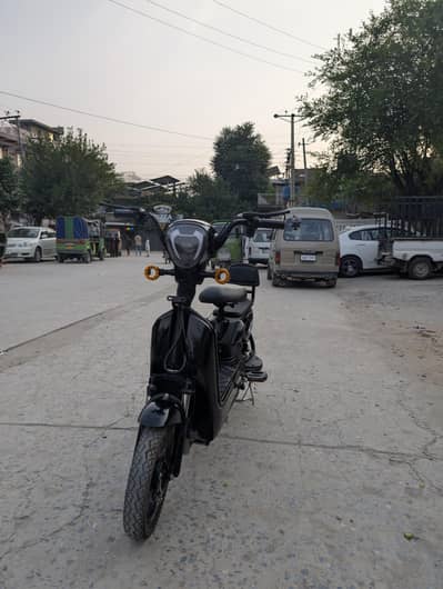 Chinese Brand Electric Cycle