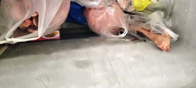 Deep Freezer -deluxe model
