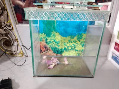 Aquarium