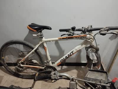 giant bicycle  urgent sell